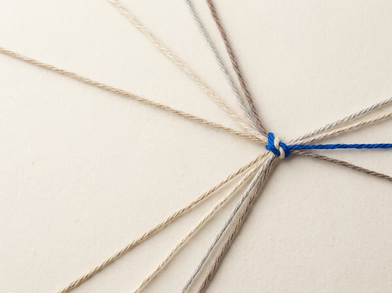 Several linen threads converging into one point, tied with blue thread.